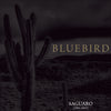 Bluebird  - Saguaro (1995-2003) Discography
